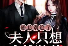 霸总别追了,夫人只想拿钱独美小说完结版章节免费阅读-乐读文学
