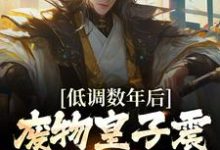 低调数年后,废物皇子震惊朝堂大佬小说全文阅读需要付费吗?寻找免费资源-乐读文学