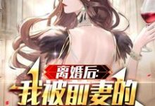 求离婚后:我被前妻的天后闺蜜倒追小说的全文免费阅读链接-乐读文学