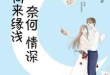 向来缘浅,奈何情深小说完结版章节免费阅读-乐读文学