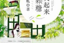 辛暖陆景一薛朵儿白辰小说你笑起来像颗糖在线阅读-乐读文学