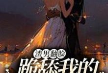 渣男翻脸,跪舔我的时候忘了?小说阅读,渣男翻脸,跪舔我的时候忘了?完结版-乐读文学