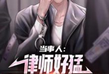 苏不凡小说当事人:律师好猛,案子解决真轻松在线阅读章节-乐读文学