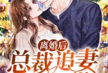 离婚后,总裁追妻有点甜小说最新更新在哪里?免费在线看-乐读文学