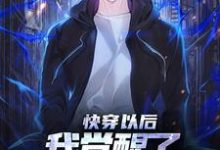 快穿以后,我觉醒了最强“装备栏”林昊,快穿以后,我觉醒了最强“装备栏”在线无弹窗阅读-乐读文学