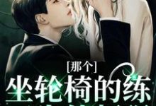 完结版《那个坐轮椅的练习生他超强》免费阅读-乐读文学