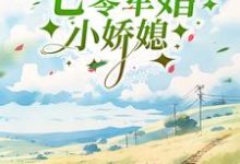 七零军婚小娇媳这本小说完结了吗?免费查看最新章节-乐读文学
