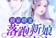 唐夏天覃慕寒小说叫什么(独家婚宠:落跑新娘甜蜜蜜免费阅读)-乐读文学