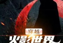完结版《穿越火影世界,我要娶娇妻》在线免费阅读-乐读文学