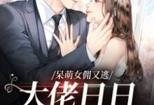 呆萌女佣又逃,大佬日日被急哭小说有没有完整的免费版本在线阅读?-乐读文学