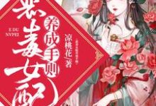 恶毒女配养成手则顾长安穆承烨小说在线章节目录阅读最新章节-乐读文学