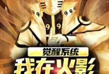 觉醒系统,我在火影世界赢麻了夜枫小说在线章节免费阅读-乐读文学