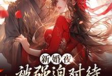 新婚夜被强迫对待,这叫不近女色?小说全文阅读需要付费吗?寻找免费资源-乐读文学