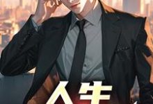 免费看人生,易如反掌小说的网站有哪些?-乐读文学